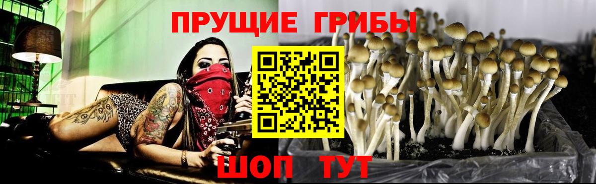 A-PVP Ивантеевка