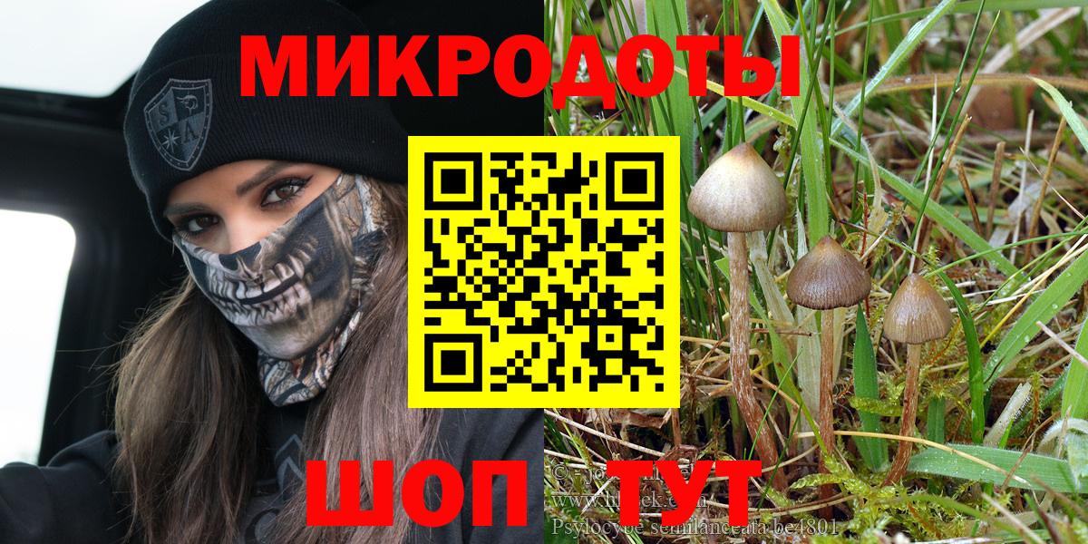 Псилоцибиновые грибы ЛСД  Галлюциногенные грибы прущие грибы  Ивантеевка  Вход с VPN 